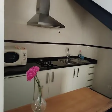 Acogedor Estudio Centro Apartment *